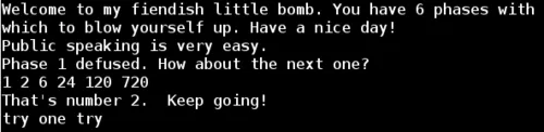 Binary Bomb