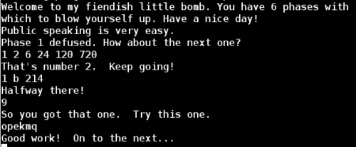 Binary Bomb