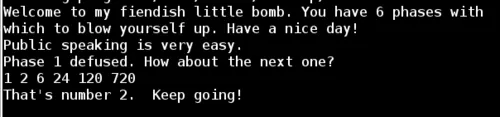 Binary Bomb