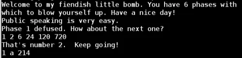 Binary Bomb