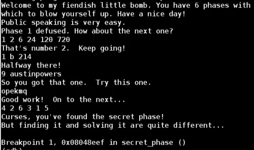 Binary Bomb