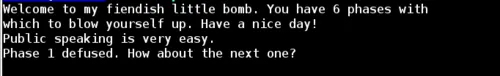 Binary Bomb