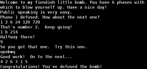 Binary Bomb