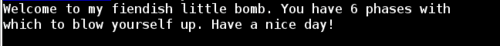 Binary Bomb Intro